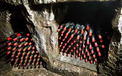 Wycieczka jednodniowa, Wycieczka Szlakiem Cypryjskich Winnic - Sterna Winiarnia