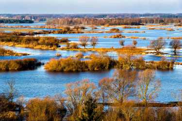 Obóz młodzieżowy, PODLASIA CZAR Dolina Biebrzy, Szlak Tatarski, Puszcza Białowieska a dla chętnych dodatkowo wycieczka do Wilna Kolonie 7-13 lat, obóz 14-17 lat