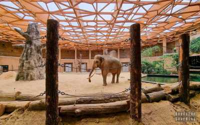 Wycieczka jednodniowa, Orientarium i  Mandoria  - miasto przygód. Jednodniowa wycieczka szkolna